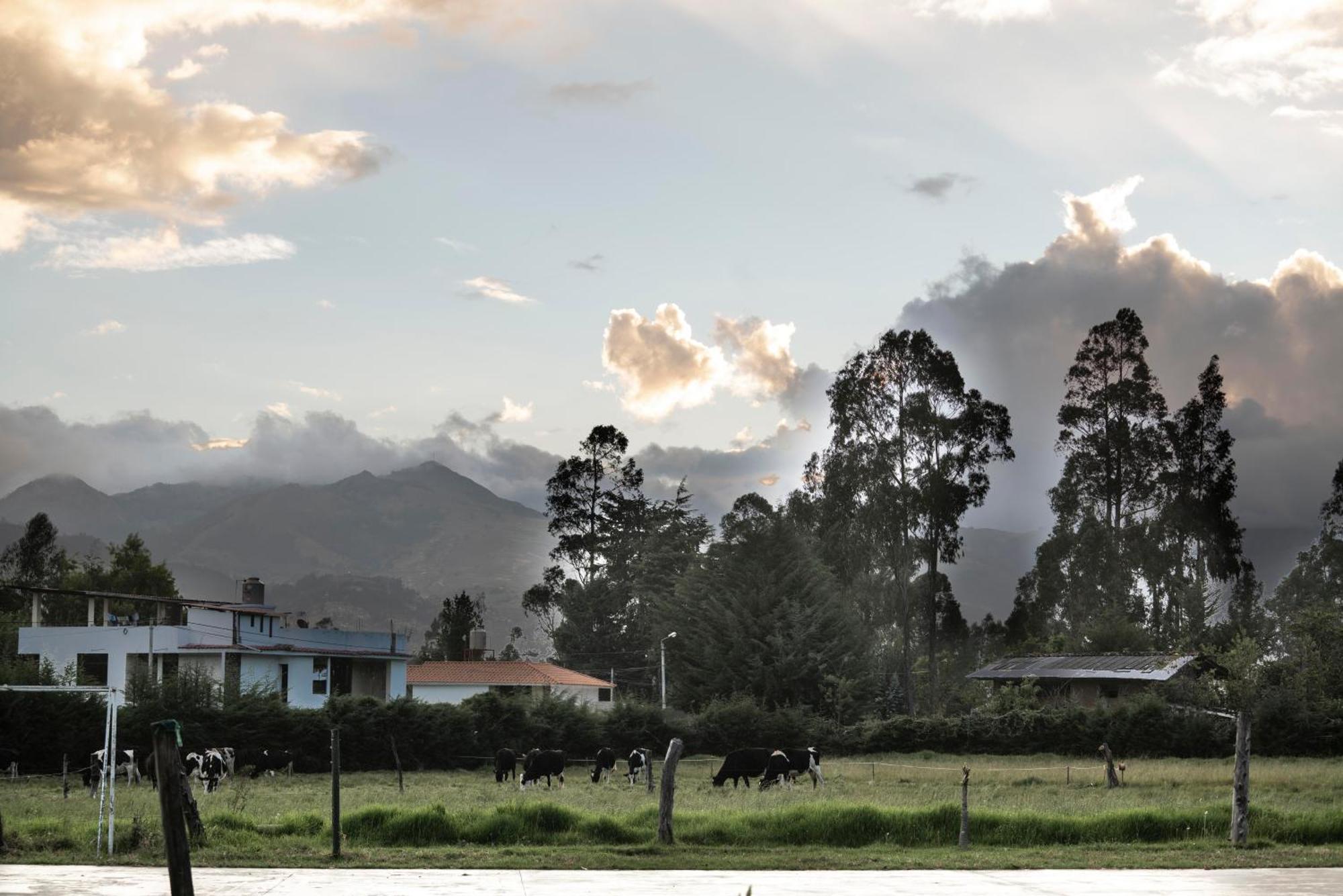 Arthouse Cajamarca - Hacienda San Antonio Hotel Exterior photo