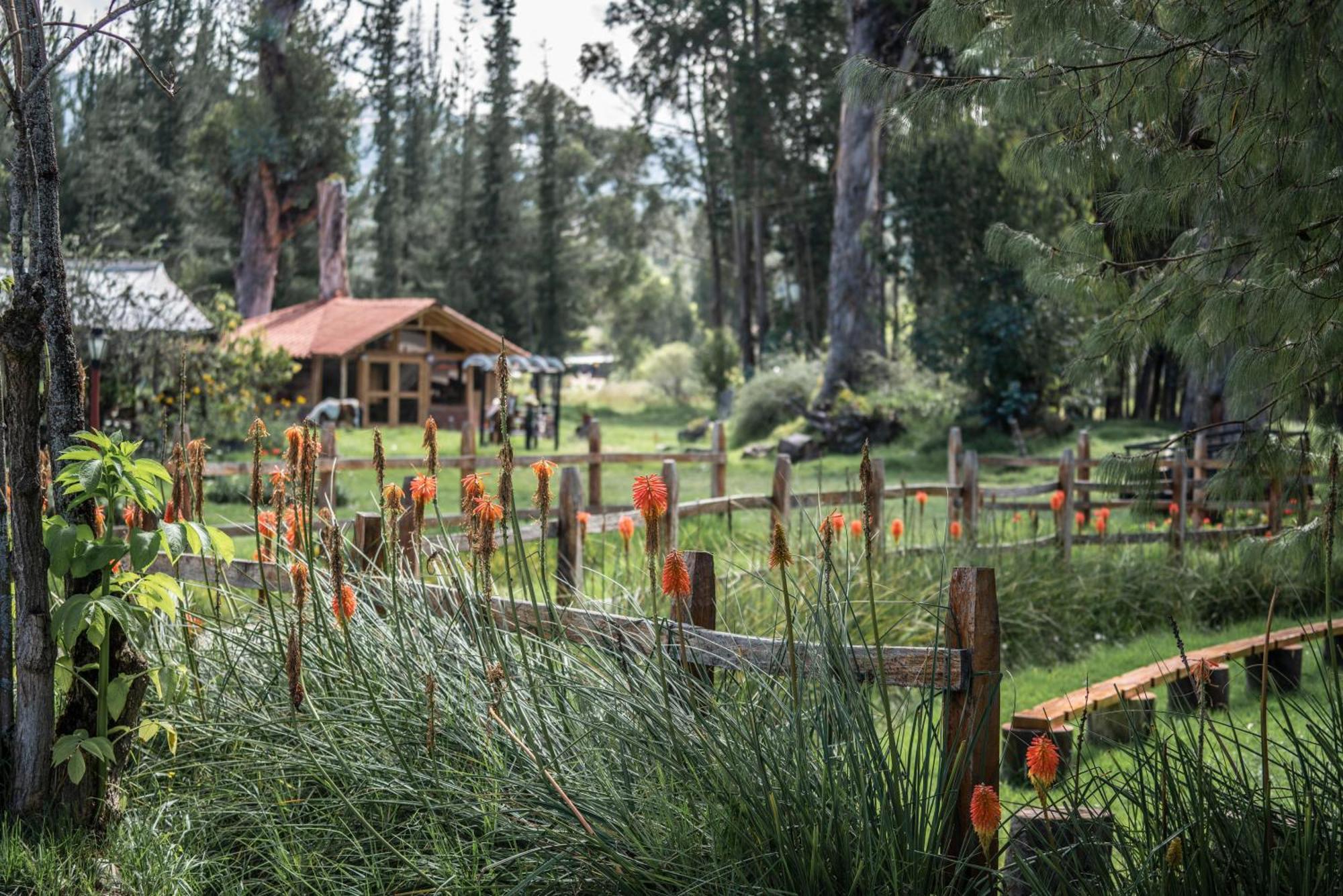 Arthouse Cajamarca - Hacienda San Antonio Hotel Exterior photo